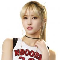 «momo» sticker set