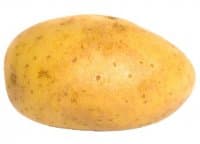 «POTATO» sticker set