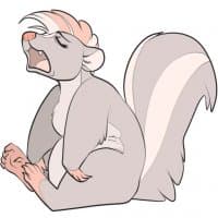 «Skunk» sticker set