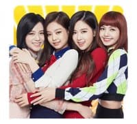 «BLACKPINK» sticker set