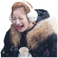 «TWICE» sticker set