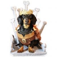 «CrusoeDachshund» sticker set