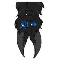 «Anaya» sticker set