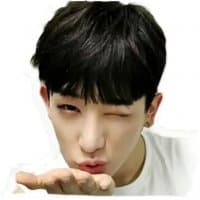 «Monsta X» sticker set