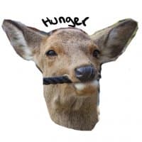«durrs» sticker set
