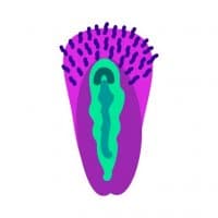 «Vaginas» sticker set