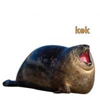 «seals» sticker set