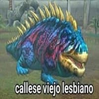 «callese viejo lesbiano» sticker set