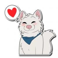 «Shane» sticker set
