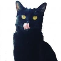 «CatBastet» sticker set