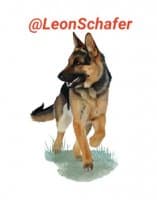 «leon» sticker set