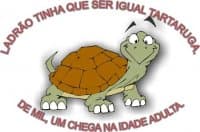 «tartaruga» sticker set