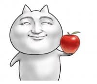 «catman» sticker set