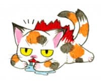 «NEGORA» sticker set