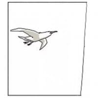 «seagull» sticker set