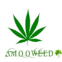 «Amoweed» sticker set