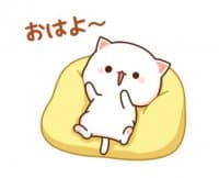 «Mochi Mochi Peach Cat 2 @waesticker» sticker set