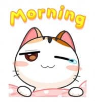 «Gojill The Meow Animated V.1 @SeanChannel» sticker set