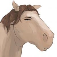 «AngieHorse» sticker set