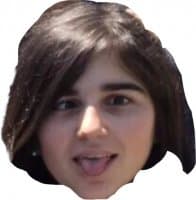 «Ilkin is gay» sticker set