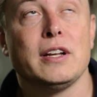 «elonmusk» sticker set