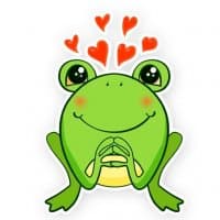 «Frog» sticker set