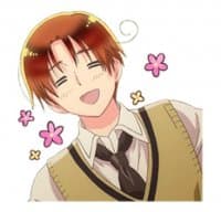 «APH» sticker set
