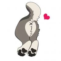 «Butts by Pulex» sticker set