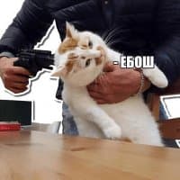 «Ebosh» sticker set