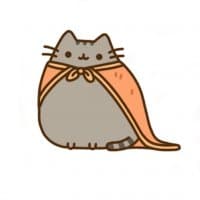 «Pusheendue» sticker set
