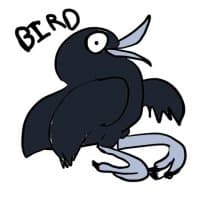 «bird» sticker set