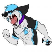 «Kodiak» sticker set