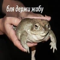 «na jabu» sticker set