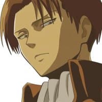 «Levi Ackerman by Roka» sticker set