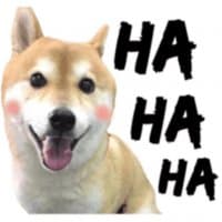 «loveshibe» sticker set