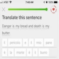«Duolingo Memes Pack» sticker set
