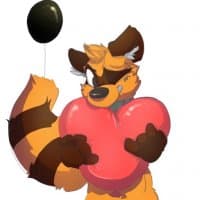 «COON» sticker set