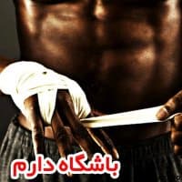 «iranfitnes» sticker set