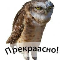 «Antonchik» sticker set