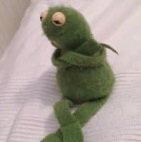«Kermit» sticker set