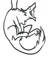 «Gaalipaku» sticker set