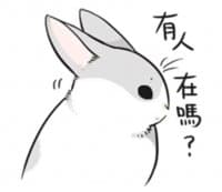 «Machiko Rabbit» sticker set