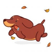 «Ветерок :: @TgSticker» sticker set