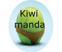 «Kiwi» sticker set