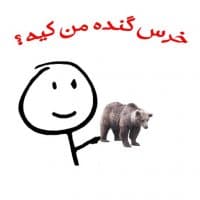 «bear» sticker set