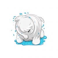 «Beast» sticker set