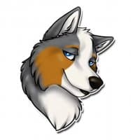 «Blizzard» sticker set