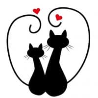 «LoveCat-Wise» sticker set