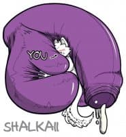 «Shalkaiidongflop» sticker set