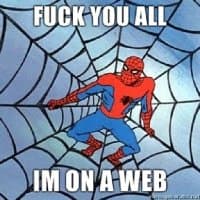«Spidey» sticker set